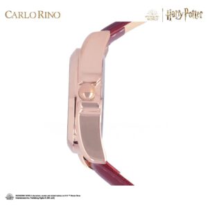Harry Potter Timepieces