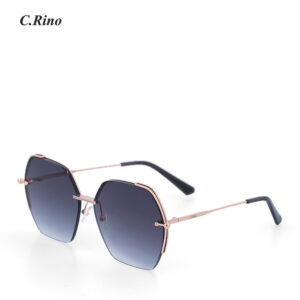 C.Rino Hexa Gaze Sunglasses