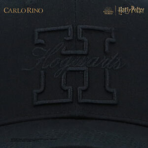 Harry Potter Cap