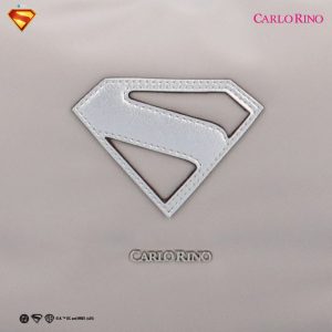 Superman Hobo
