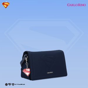 Superman Flap Bag