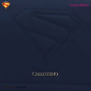 Superman Flap Bag