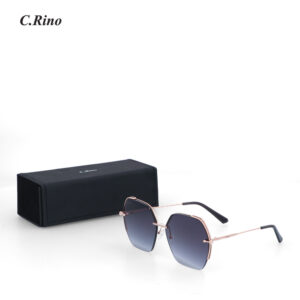 C.Rino Hexa Gaze Sunglasses