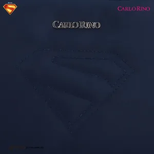 Superman Camera Bag