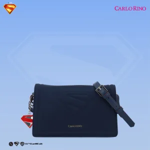 Superman Flap Bag